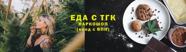 гашик Надым