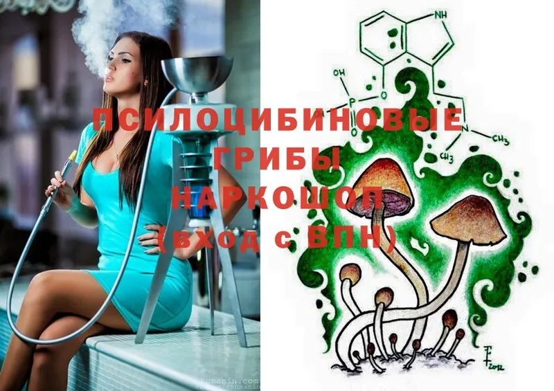 Псилоцибиновые грибы Psilocybe Электрогорск