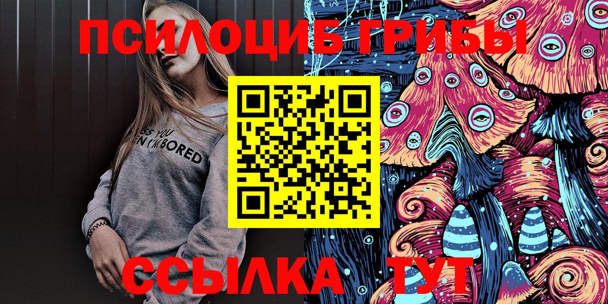 Псилоцибиновые грибы Psilocybe  Электрогорск 