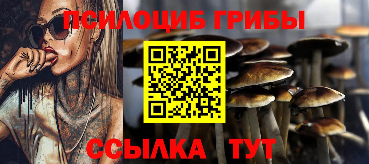 Псилоцибиновые грибы мухоморы  Вход с VPN  Галлюциногенные грибы Psilocybine cubensis  даркнет сайт  Электрогорск 