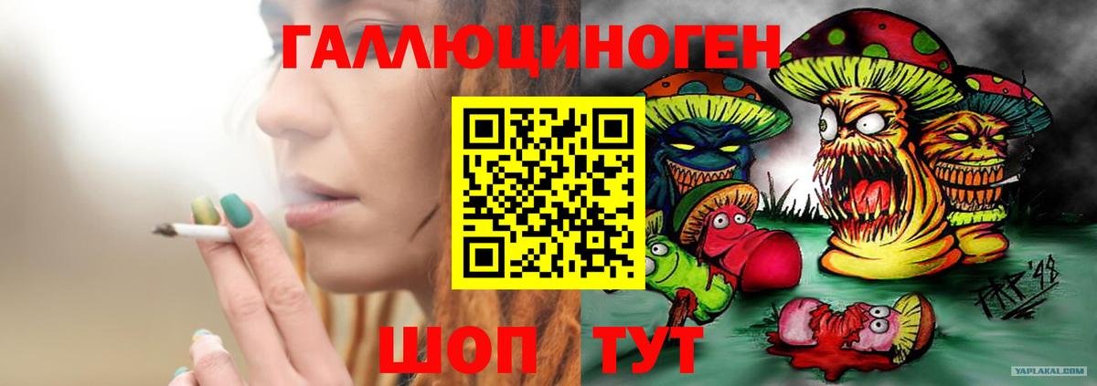 Псилоцибиновые грибы ЛСД Электрогорск